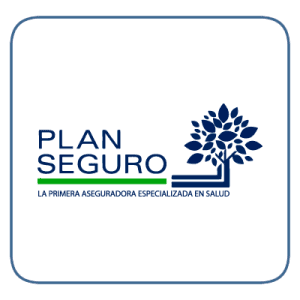 Logo  - plan-seguro.png